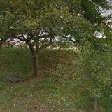 HUSÁKOVÁ DANUŠE Ing.