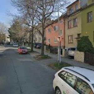 obrazek: avatar DOHNALOVÁ MARIE PhDr.