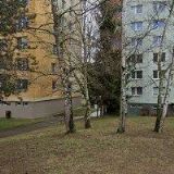 DOMINIK VÍTĚZSLAV Ing.