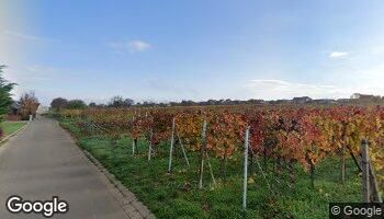 blog-img