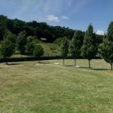 HOLUŠA OTAKAR prof. Ing. Ph.D. et PhD.