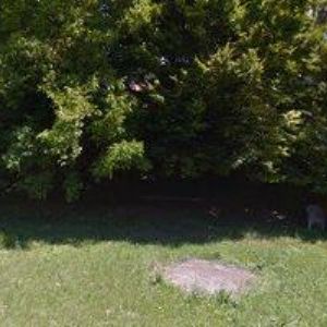 obrazek: avatar KALOUS JAROSLAV Ing.