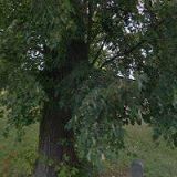 DOLEŽEL JIŘÍ Ing.