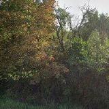 KONEČNÝ ROMAN Ing.