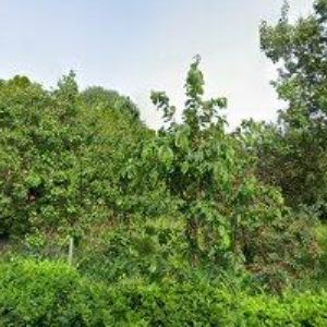 obrazek: avatar MOLÍK JOSEF Ing.