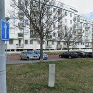 obrazek: avatar INEK VLADIMÍR