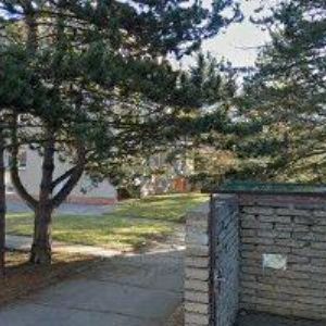 obrazek: avatar KALINOVÁ DANA JUDr.