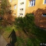 NOVÝ LUBOMÍR Ing. Mgr.