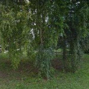 obrazek: avatar ŠTOURAČ FRANTIŠEK