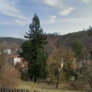 obrazek: avatar KALOUSOVÁ HELENA