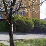 AK-ŽIVCOVÁ NIKOLA Mgr.