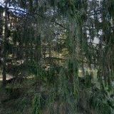 AK-RUJBROVÁ EVA JUDr.