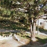 JMG INTERNATIONAL AGENCY s.r.o.