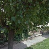 AK-JANOVCOVÁ MAGDA JUDr.