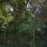 AK-DUDOVÁ JANA JUDr. Ph.D.