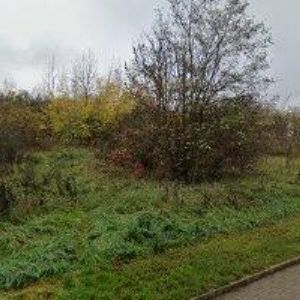 obrazek: avatar PRACOVNĚPRÁVNÍ SERVIS, s.r.o.