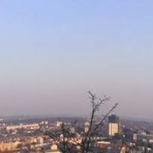 obrazek: avatar LIGA PROTI RAKOVINĚ BRNO