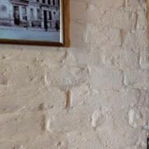 obrazek: avatar BURÁŇ PETR Ing.-ŽIVÉ BYDLENÍ