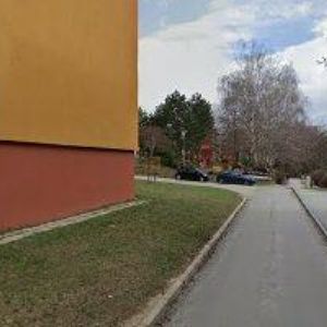 obrazek: avatar NEDOMA PETR-OBKLADY A REKONSTRUKCE