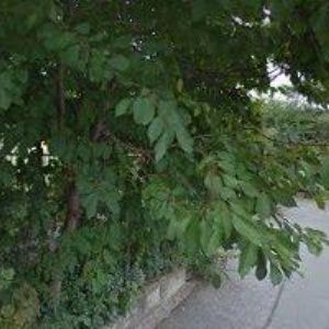 obrazek: avatar STAVEBNÍ FIRMA ŠMAK