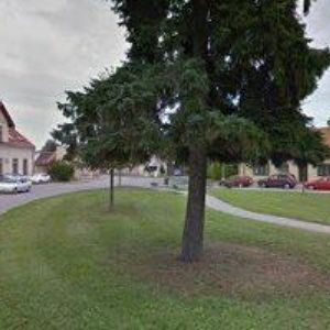 obrazek: avatar MORAVSKÁ STAVEBNÍ UNIE-MSU s.r.o.