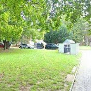 obrazek: avatar SEDLÁČEK VLASTIMIL