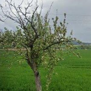 obrazek: avatar PODZEMNÍ STAVBY BRNO, s.r.o.