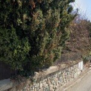 obrazek: avatar VSOP, spol. s r.o.