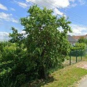 obrazek: avatar DŘEVOSTAVBY MLČOCH