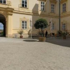 obrazek: avatar MISTR SKLEPŮ