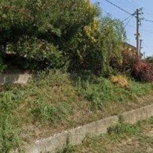 obrazek: avatar STAVEBNÍ PRÁCE MIKŠA