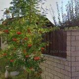 REALITNÍ A STAVEBNÍ SPOLEČNOST s.r.o.