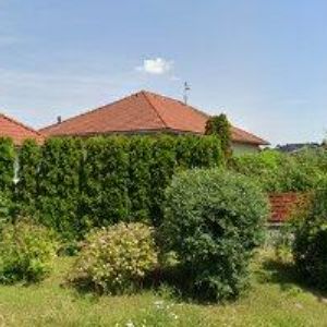 obrazek: avatar FIALA PETR