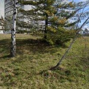 obrazek: avatar INSTOLOKELLNER