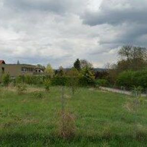 obrazek: avatar STAVITELSTVÍ FRYDRÝŠEK s.r.o.