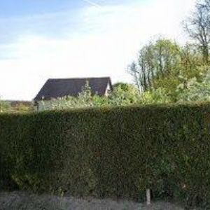 obrazek: avatar KAŠPÍREK PETR