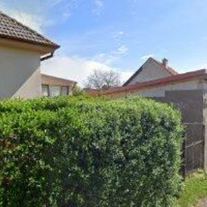 obrazek: avatar PALÁT BOHUMIL