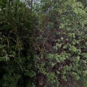 obrazek: avatar HALÁMEK VOJTĚCH Ing.