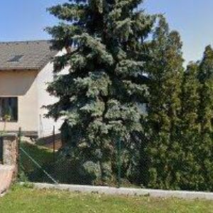 obrazek: avatar ŠVAŘÍČEK FRANTIŠEK