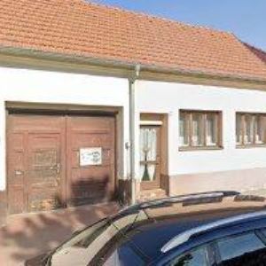 obrazek: avatar 69. PIONÝRSKÁ SKUPINA STRÁŽCI MÍRU