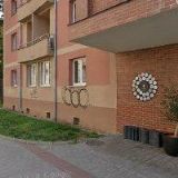 PIONÝRSKÁ SKUPINA PAVUČINA