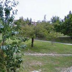 obrazek: avatar 85. PIONÝRSKÁ SKUPINA LETKA