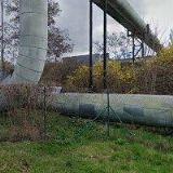 76. PIONÝRSKÁ SKUPINA BORKY