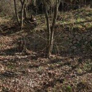 obrazek: avatar 5. PIONÝRSKÁ SKUPINA S.T.O. JIŘÍHO WOLKERA