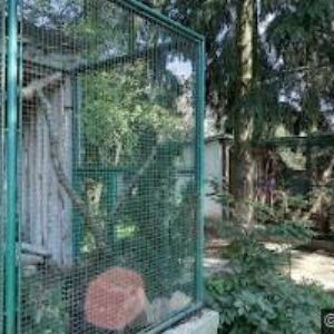 obrazek: avatar DĚTSKÉ CENTRUM ELIŠKA, z.s.