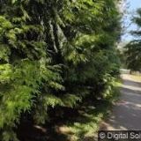 DŮM DĚTÍ A MLÁDEŽE Brno, Helceletova