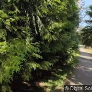 obrazek: avatar DŮM DĚTÍ A MLÁDEŽE Brno, Helceletova