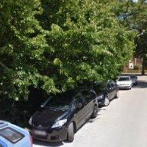 obrazek: avatar JUNÁK-ČESKÝ SKAUT, STŘEDISKO Kyjov