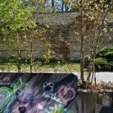 JUNÁK-ČESKÝ SKAUT, STŘEDISKO SRDCE NA DLANI Blansko