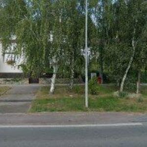 obrazek: avatar ELIM LETOVICE, o.p.s.